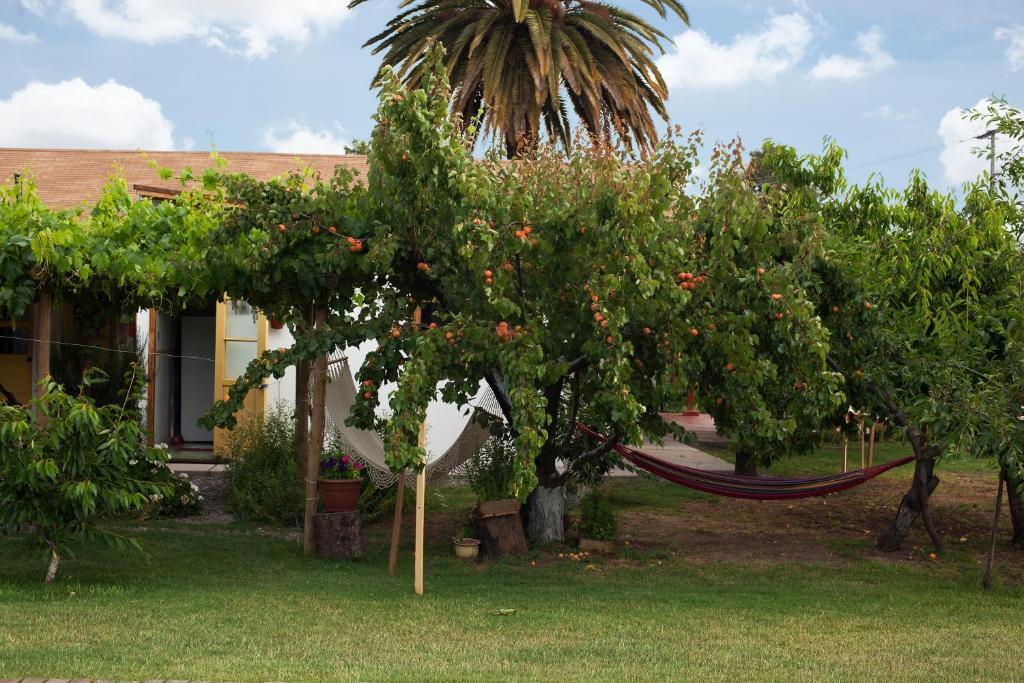 Casa Pando Bed & Breakfast Santa Cruz Exterior foto